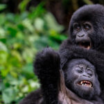 Uganda