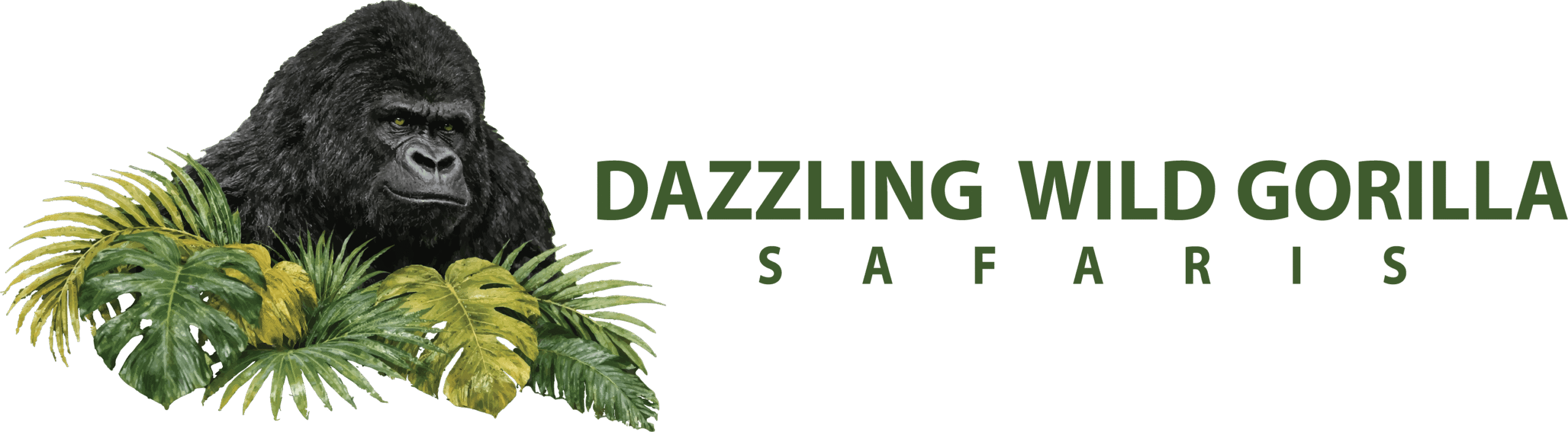 Dazzling Wild Gorilla safaris | Gorilla trekking tours Uganda - Uganda Gorilla Trip