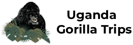 Uganda Gorilla  Trips