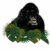 GORILLAS IN PARADISE SAFARIS